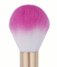 Large Powder Brush