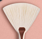 Lash Brush