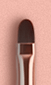 Lip Liner Brush