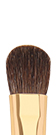 Lash Brush