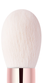 Blush/Contour Brush