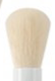 Lash Brush