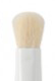 Lash Brush