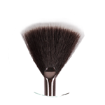 Fan Brush