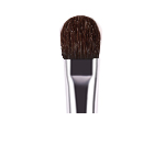 Lip Liner Brush