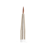 Eyeliner Brush