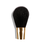 face brush